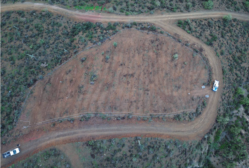 Field aerial photo
