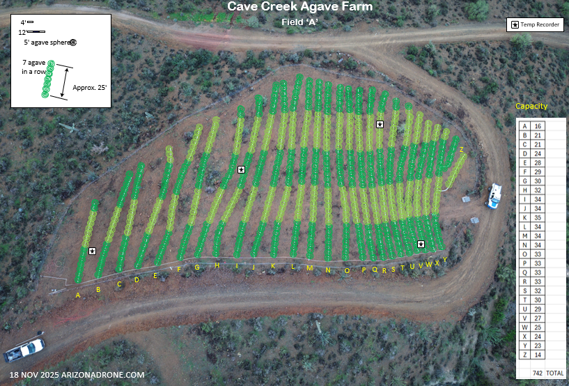 Field with crop marking