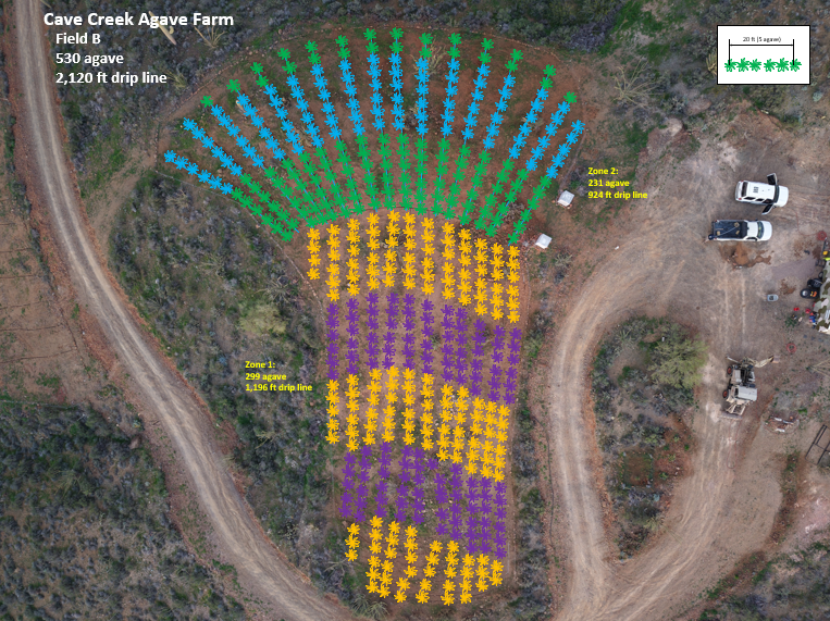 Field with plant markings
